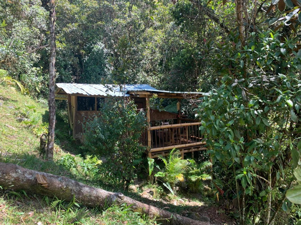La Casa De Loto Retreat Guatapé Esterno foto